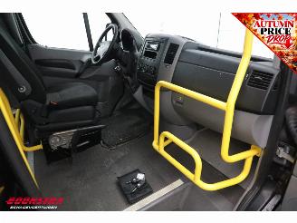 Volkswagen Crafter 2.0 TDI Tribus L3-H2 9-Pers. Behindertengerecht Cruise Airco picture 12