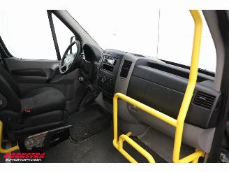 Volkswagen Crafter 2.0 TDI Tribus L2H2 9-Pers. Behindertengerecht Cruise Airco picture 13