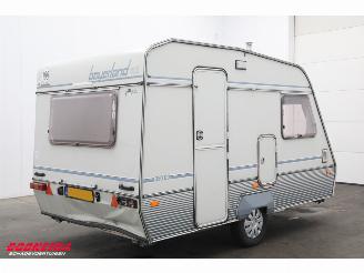 Beyerland  Vitesse 350 DD picture 3
