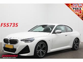 ocasión turismos BMW 2-serie Coupé 220i M Sport Cruise Navi SHZ Virtual Apple/Android Camera PDC 2025/7
