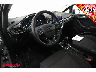 Ford Fiesta 1.0 EcoBoost Hybrid Titanium Cruise Clima SHZ LrHZ picture 16