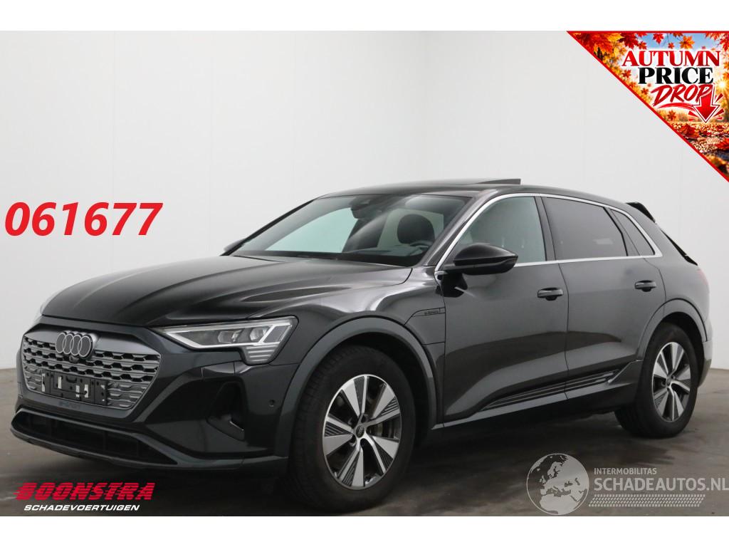 Audi Q8 55 quattro Advanced Edition 115 kWh B&O Pano Navi SHZ Virtual Apple/Android Camera PDC