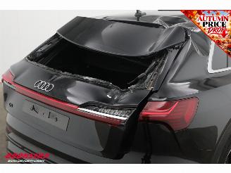 Audi Q8 55 quattro Advanced Edition 115 kWh B&O Pano Navi SHZ Virtual Apple/Android Camera PDC picture 9
