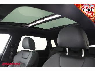 Audi Q8 55 quattro Advanced Edition 115 kWh B&O Pano Navi SHZ Virtual Apple/Android Camera PDC picture 17