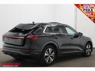 Audi Q8 55 quattro Advanced Edition 115 kWh B&O Pano Navi SHZ Virtual Apple/Android Camera PDC picture 3