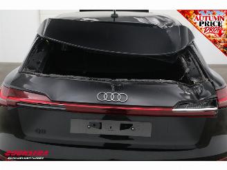 Audi Q8 55 quattro Advanced Edition 115 kWh B&O Pano Navi SHZ Virtual Apple/Android Camera PDC picture 8