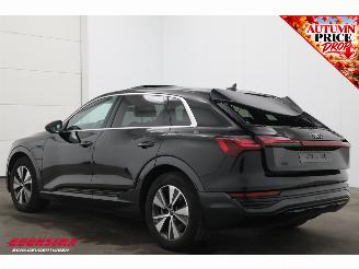 Audi Q8 55 quattro Advanced Edition 115 kWh B&O Pano Navi SHZ Virtual Apple/Android Camera PDC picture 4