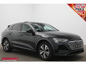 Audi Q8 55 quattro Advanced Edition 115 kWh B&O Pano Navi SHZ Virtual Apple/Android Camera PDC picture 2