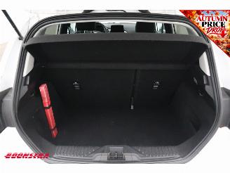 Ford Fiesta 1.0 EcoBoost Titanium ACC Navi Clima Apple/Android Camera PDC picture 30