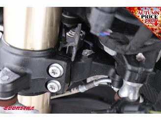 BMW S 1000 R ABS Akrapovic Cruise Heizgriffe picture 13