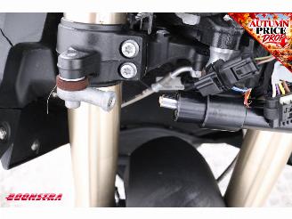 BMW S 1000 R ABS Akrapovic Cruise Heizgriffe picture 12