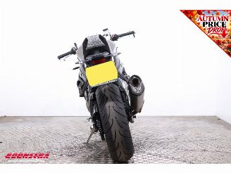 BMW S 1000 R HP ABS Akrapovic Cruise Heizgriffe 18.813 km! picture 8