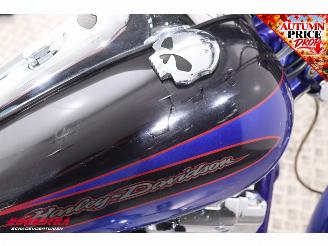 Harley-Davidson  FXSTDSE CVO Softail picture 9