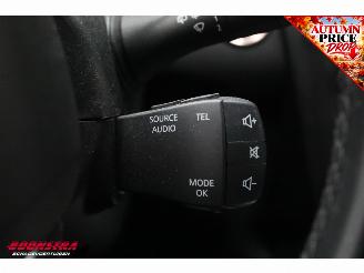 Renault Kadjar 1.5 dCi Bose Cruise Navi Camera PDC Clima Bluetooth picture 13