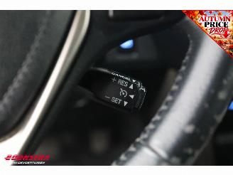 Toyota Rav-4 2.0 Executive Business Limited Aut. 4WD Camera SHZ Clima Navi Leder picture 23