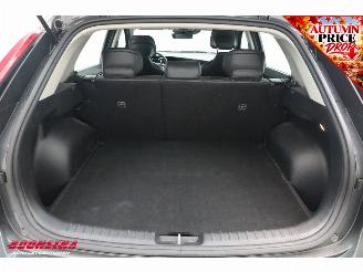 Kia e-Niro DynamicLine 64.8 kWh Camera LED Clima Apple/Android Navi picture 30