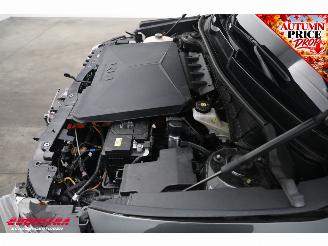 Kia e-Niro DynamicLine 64.8 kWh Camera LED Clima Apple/Android Navi picture 10