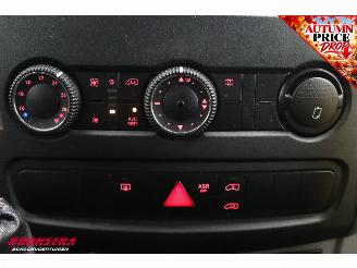 Volkswagen Crafter Kombi 2.0 TDI Maxi Tribus Behindertengerecht Cruise Camera Bluetooth Airco picture 23