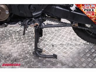 Honda  CRF 1100L Africa Twin DCT ABS SC Project Cruise Bluetooth picture 15