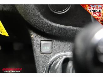 Renault Trafic 1.6 dCi L2-H1 Formula Edition Yellow Cruise Navi PDC AHK Bluetooth Airco picture 22