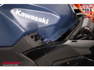 Kawasaki Ninja 500 SE 35 KW ABS LED picture 14