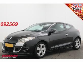 ocasión turismos Renault Mégane 1.4 TCe Dynamique Cruise Camera Clima LED 2010/4