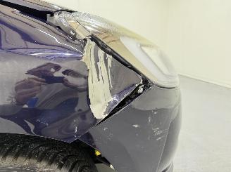 DS Automobiles DS 3 1.2 Puretech 82 Business NAP picture 12