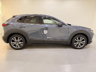 Mazda CX-30 2.0 E-Skyactiv X MHEV Luxury picture 43