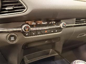 Mazda CX-30 2.0 E-Skyactiv X MHEV Luxury picture 30