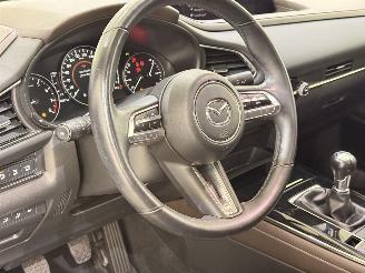 Mazda CX-30 2.0 E-Skyactiv X MHEV Luxury picture 23