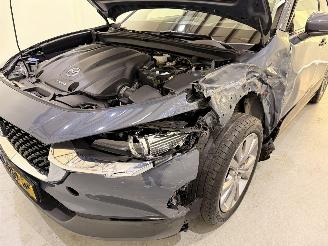 Mazda CX-30 2.0 E-Skyactiv X MHEV Luxury picture 36