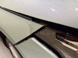 Skoda Enyaq IV 80 EV Sportline Automaat picture 17