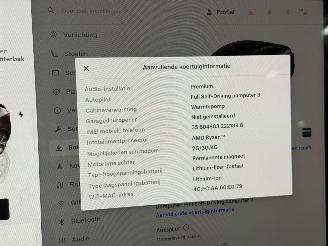 Tesla Model Y Standard Range picture 27