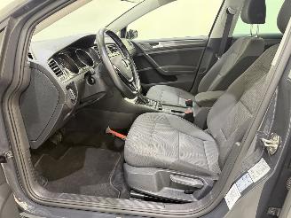 Volkswagen Golf e-Golf E-DITION Navi/NAP picture 36