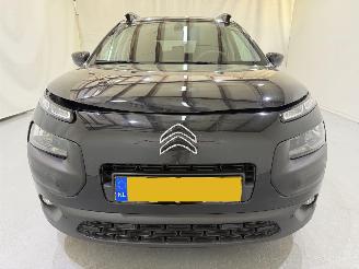 Citroën C4 cactus 1.2 PureTech 82 Business Plus picture 2
