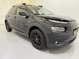 Citroën C4 cactus 1.2 PureTech 82 Business Plus picture 1