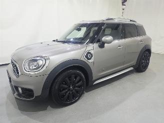 Mini Countryman COOPER SE ALL4 Chili Aut Pano 100.Kw picture 26