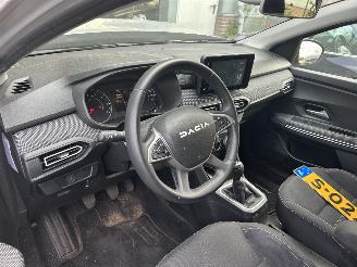 Dacia Jogger 1.0 TCe Extreme Limited Edition  7 persoons ( LPG G3 ) picture 12