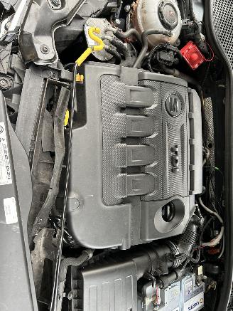 Seat Leon 2.0 TDI  Automaat FR uitvoerring  5 Drs Panoramadak picture 13