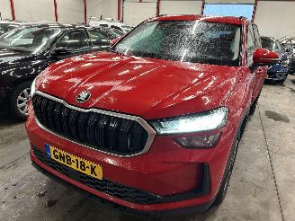 Auto incidentate Skoda Kodiaq 1.5 TSI mHEV Business Edition  Automaat  ( NW Prijs 55000,00 ) 2024/10