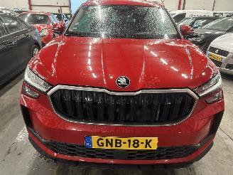 Skoda Kodiaq 1.5 TSI mHEV Business Edition  Automaat  ( NW Prijs 55000,00 ) picture 14