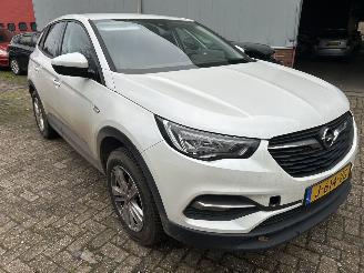 Opel Grandland X 1.2 Turbo Business Edition  ( Koplings probleem ) picture 3