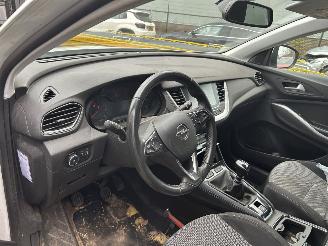 Opel Grandland X 1.2 Turbo Business Edition  ( Koplings probleem ) picture 9