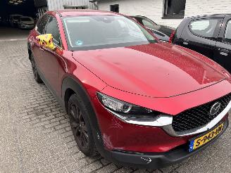 Mazda CX-30 e-Skyactive 2.0 Hybrid Homura  Automaat picture 3