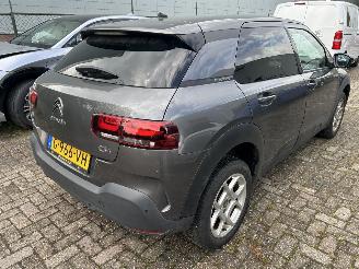 Citroën C4 cactus 1.2 PureTech Origins picture 5