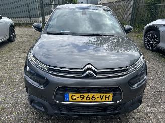 Citroën C4 cactus 1.2 PureTech Origins picture 2