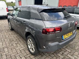 Citroën C4 cactus 1.2 PureTech Origins picture 7