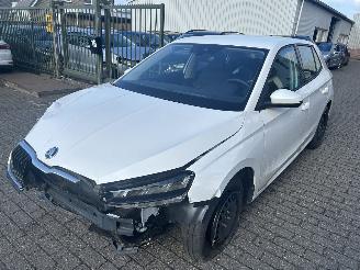 krockskadad bil auto Skoda Fabia 1.0 TSI 2025/11