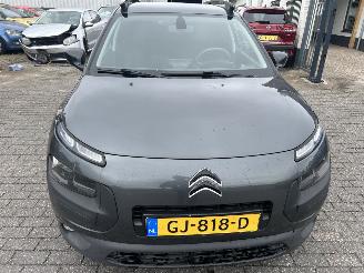Citroën C4 cactus 1.6 BlueHDI picture 2
