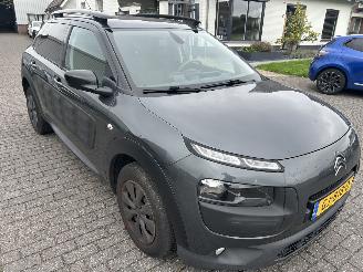 Citroën C4 cactus 1.6 BlueHDI picture 3